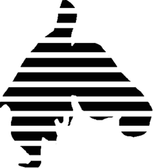 Mr.Zebra Logo